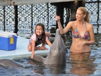 Dolphin Research Center